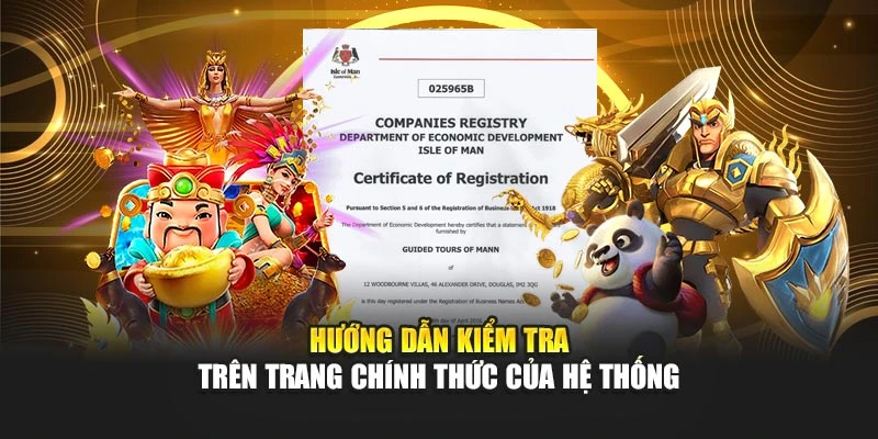 Hướng dẫn kiểm tra trên trang chính thức của hệ thống